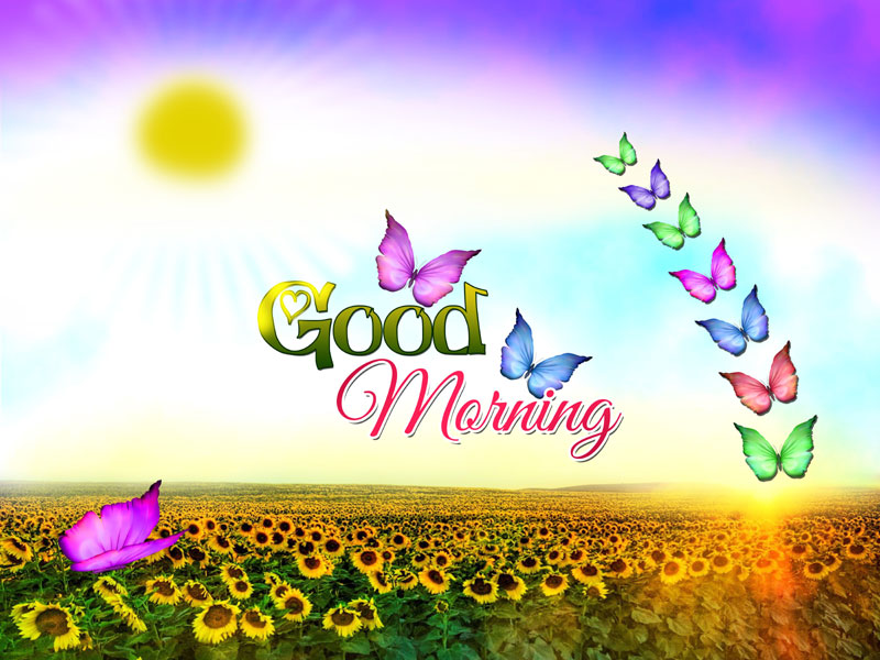Good Morning Quotes Gujarati