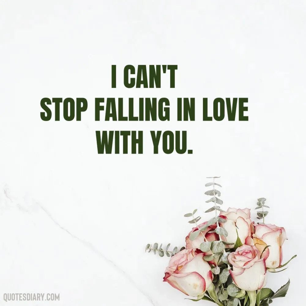 I can't | Love Quotes | English Love Quotes