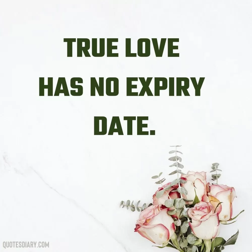 True love | Love Quotes | English Love Quotes
