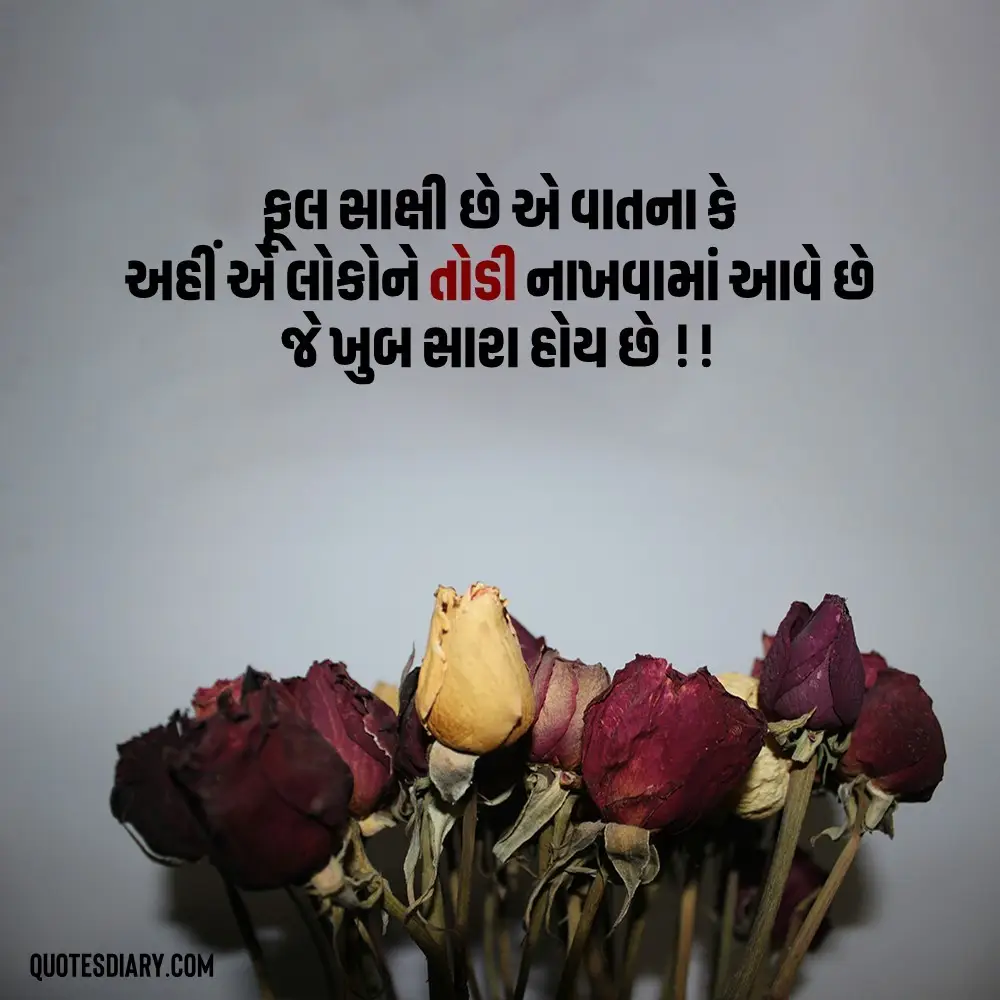 Sad Shayari Gujarati
