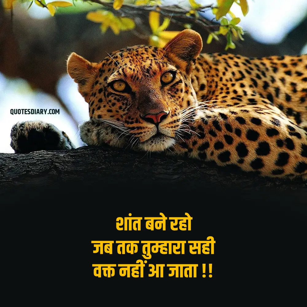Life Shayari