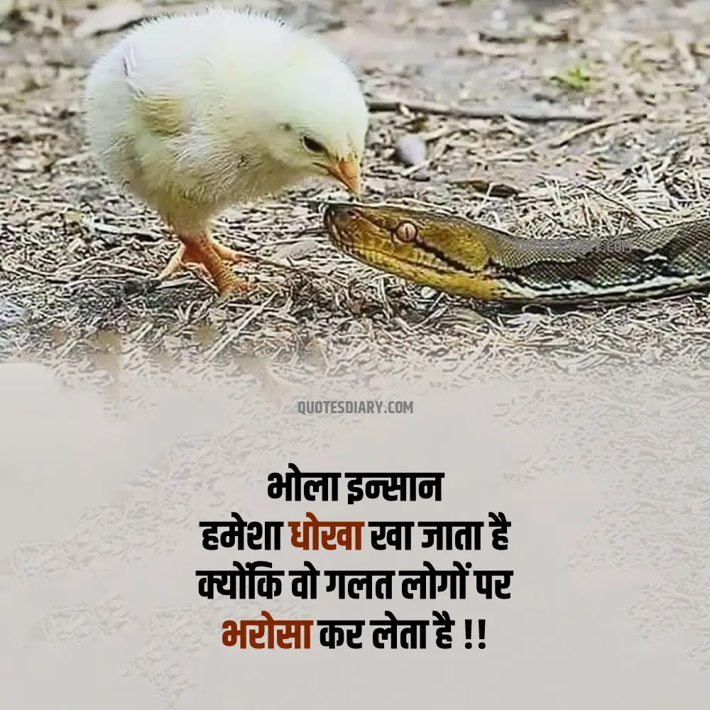 Motivational Shayari
