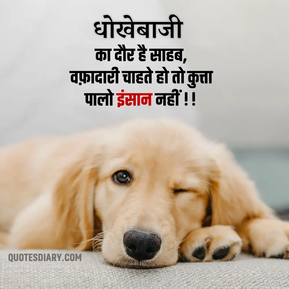Motivational Shayari