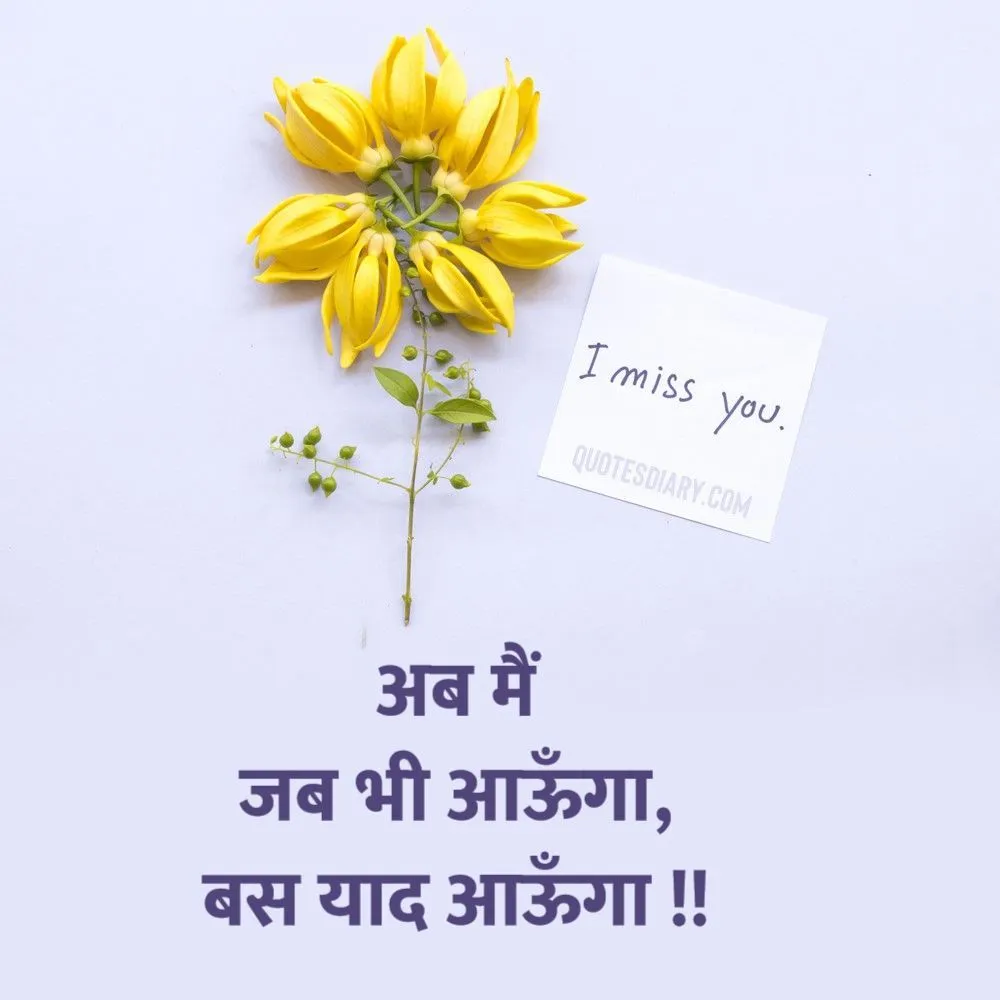 Miss You Shayari