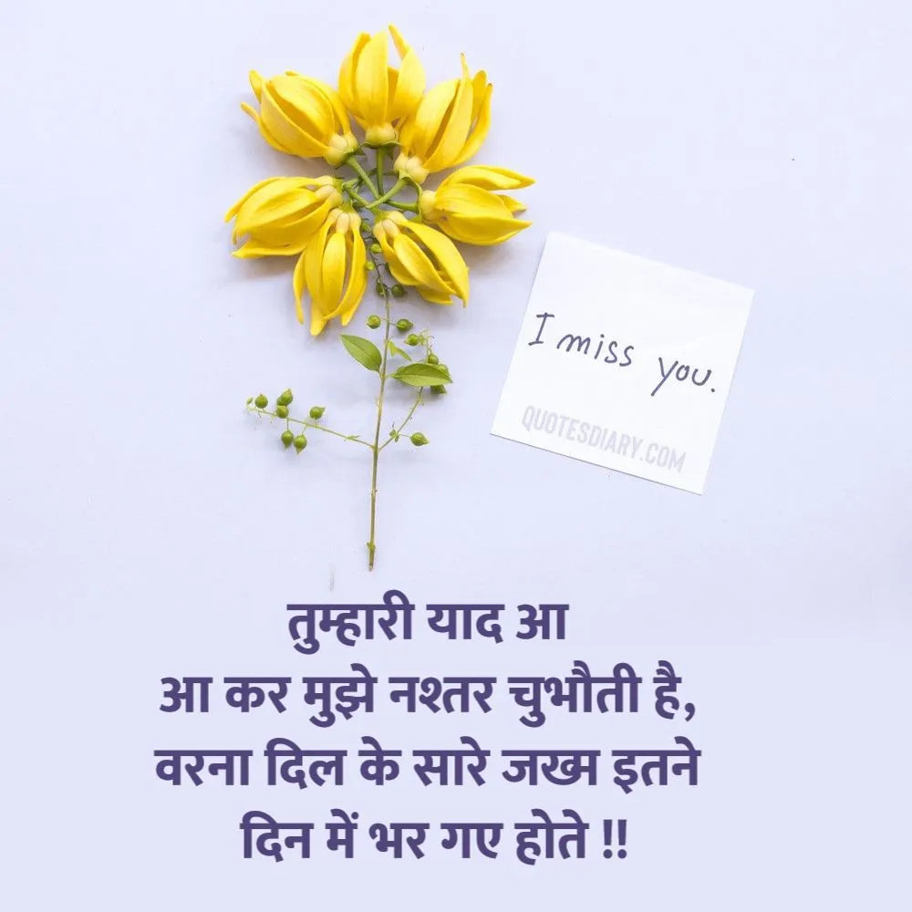 Miss You Shayari